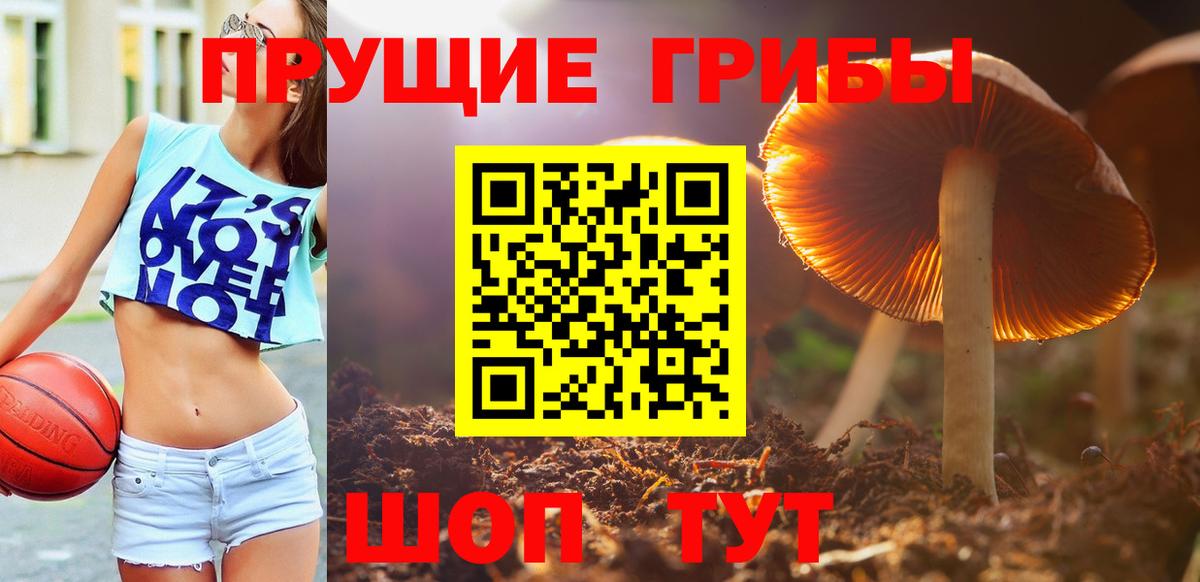 Мариинск  Галлюциногенные грибы мицелий  Вход с VPN 